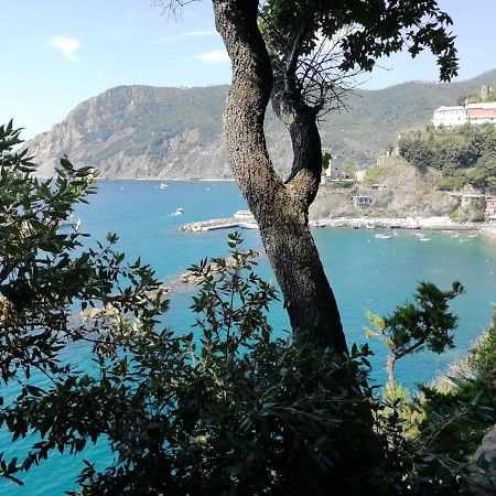 Nel cuore di Monterosso Cinque Terre Orto di Ciack Monterosso al Mare Esterno foto