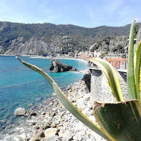 Nel cuore di Monterosso Cinque Terre Orto di Ciack Monterosso al Mare Esterno foto