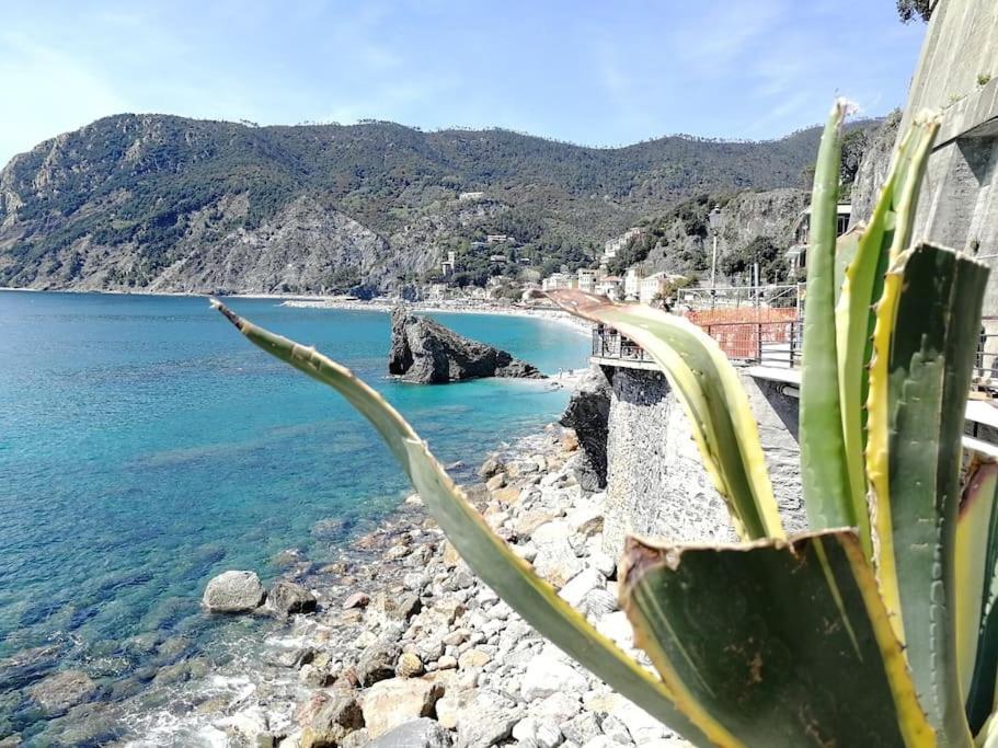 Nel cuore di Monterosso Cinque Terre Orto di Ciack Monterosso al Mare Esterno foto